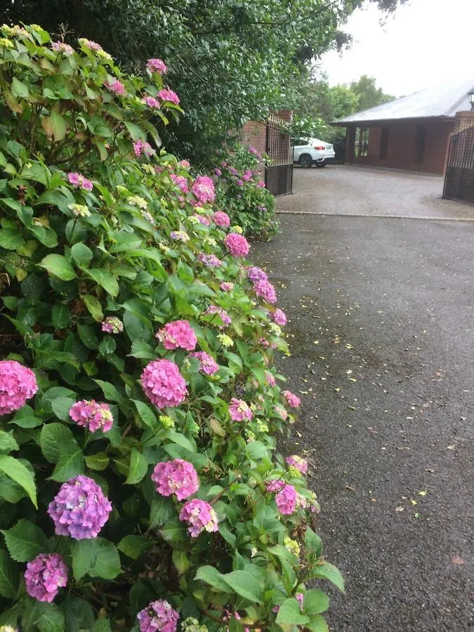 Bed & Breakfast Lios Daire Killarney
